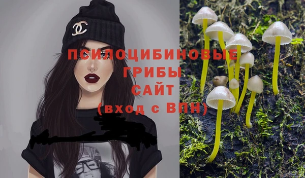 хмурый Богородск