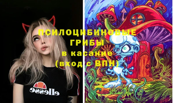 гидропоника Богданович