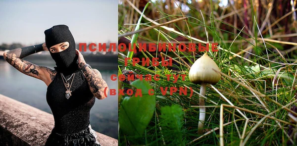 jwh Богородицк