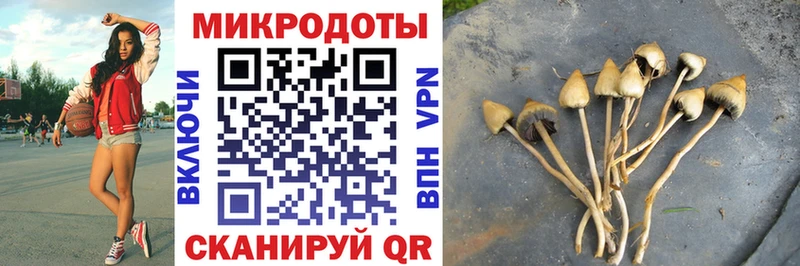 shop какой сайт Микунь Псилоцибиновые грибы Cubensis